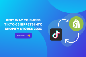 Best Way to embed TikTok snippets into Shopify stores 2023